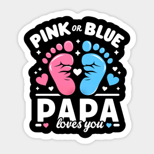 Gender reveal baby announcement Pink or blue Sticker